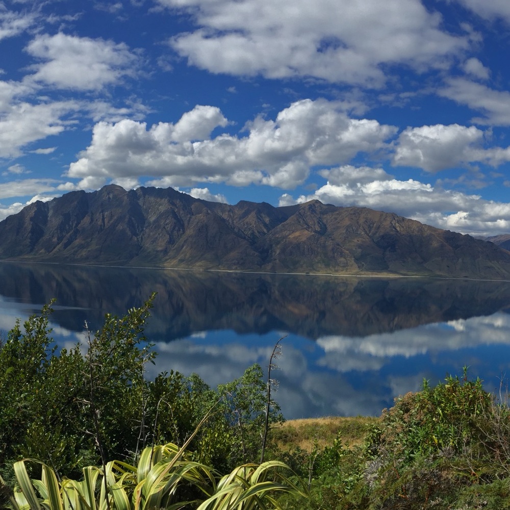 Meet your Posher, Una